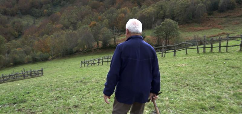 El nome de los árboles